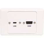 P5964 USB C HDMI Wallplate Dual Cover With Socket Flyleads