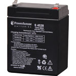 S4528 12V 2.9Ah Sealed Lead Acid (SLA) Battery 4.8mm/F1